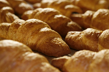 Freshly baked croissants 
