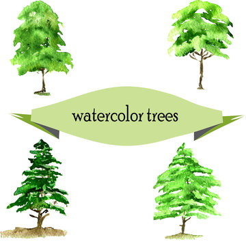 set of green watercolor spruce. vector illustration.