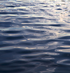 in kho tao  south china   thailand   blue lagoon and water