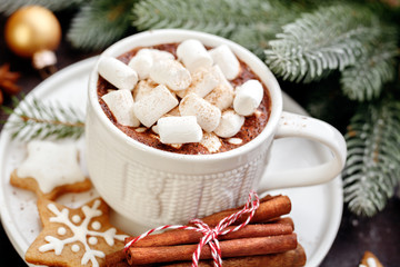 Obraz na płótnie Canvas Cup of cocoa with marshmallows