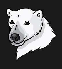Portrait cartoon polar bear