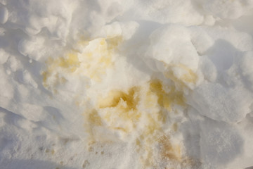 Dog's urine on the snow