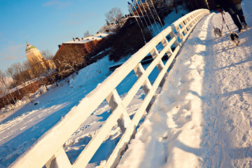 Walking dogs - Suomenlinna Island