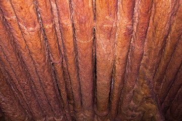 Rock formations in Mamoth Caves