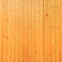 Close up of Shiny Pine Wood Panel