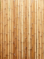 Brown Bamboo Background, Natural Color