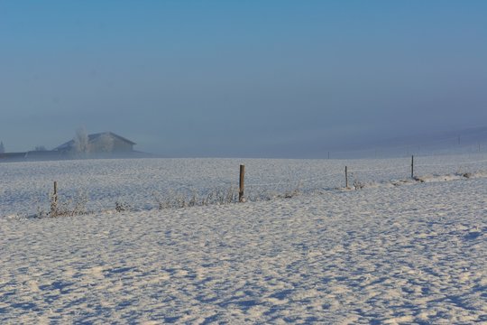 Nebliger Wintermorgen
