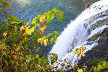 Fototapeta premium Autumn leaves on the background of a waterfall