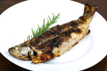 Grilled trout