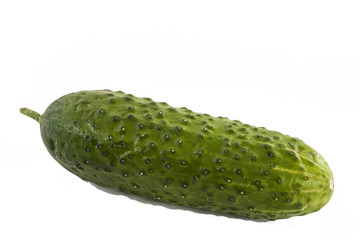 green cucumber with a tail home and pimples