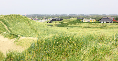Obraz premium views of the dunes of the North Sea.