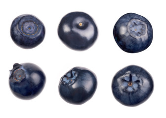 Group of blueberries on white background. Studio shoot.