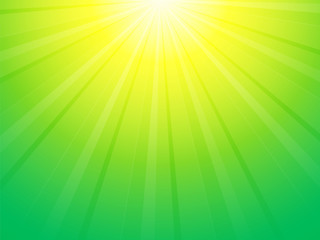 green yellow background with sun rays - obrazy, fototapety, plakaty