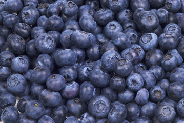 Group of blueberries on white background