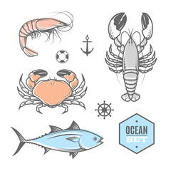 nautical vector set