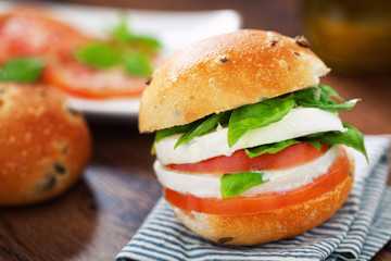 Vegetarian Sandwich