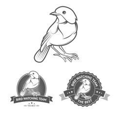 Vector Bird labels