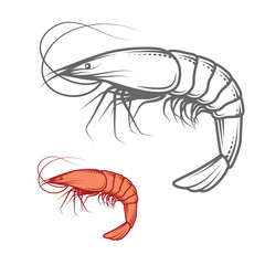 Vector Shrimp logo