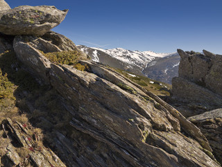 Pico del Lobo desde Loma Mediana. Guadalajara