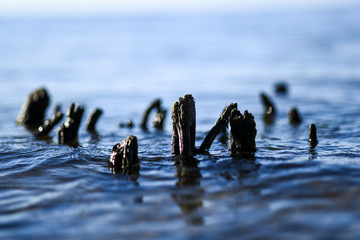 Woda, fale © Kozioł Kamila