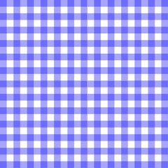 Blue Gingham Material