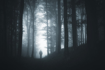 man in light spot in dark forest