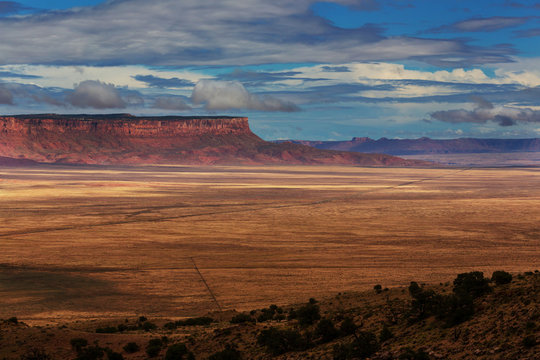 American Landscapes