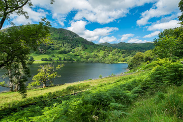 Rydal Water in the Lake District.