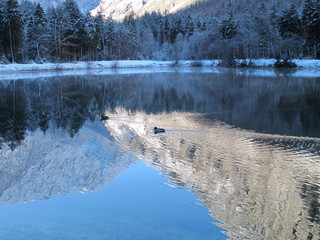 klarer bergsee