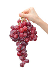 grapes in hand