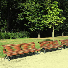 bench in the summer park