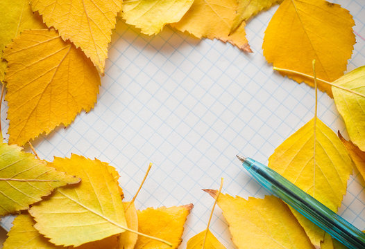 Colorful autumn leaves and pen Autumn composition. Free space for text.