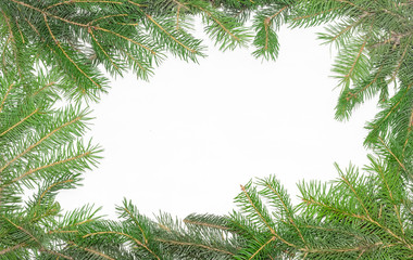Frame of fir branches