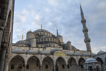 Fototapeta na wymiar The blue mosque in Istanbul