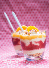 Veganes Frucht-Schicht-Dessert