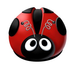 coccinella