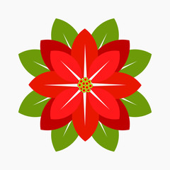 Poinsettia flower vector