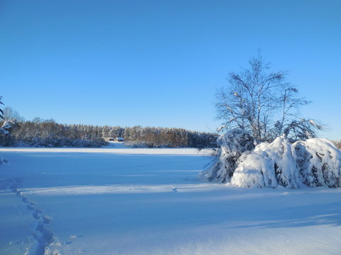 Winter landscape in the Karelia, in February 2015.
