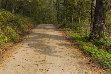 Fototapeta na wymiar Rural Road In Autumn