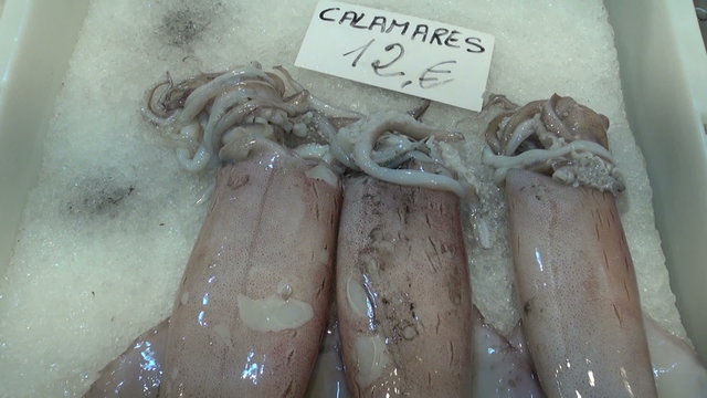 fresh calmar squid on ice in fish market