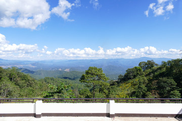 Fototapeta premium mountain and forest view