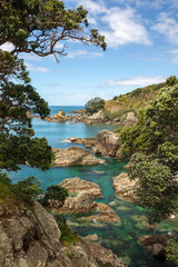 Cliff Edge, Clear Sea, Transparent Blue/Green Water Pools - Tiritiri Matangi Island, New Zealand