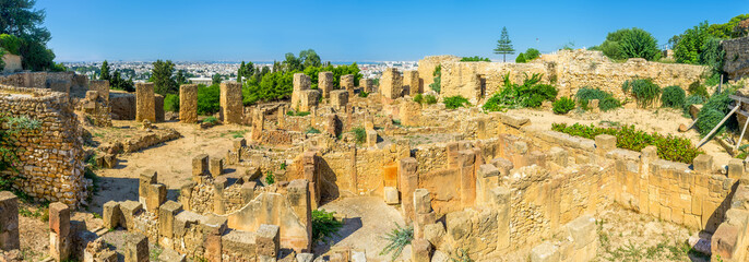 The Punic ruins