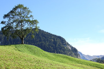 Fototapeta na wymiar Beautiful Swiss Location