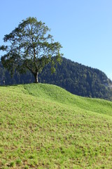 Beautiful Swiss Location