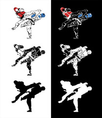 taekwondo fight - obrazy, fototapety, plakaty