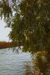 Astrakhan River expanses