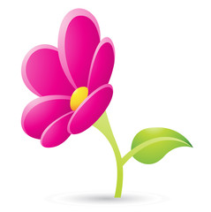 Magenta Flower Icon