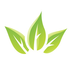 Green Glossy Leaves Icon