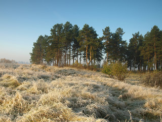 Autumn country landscape